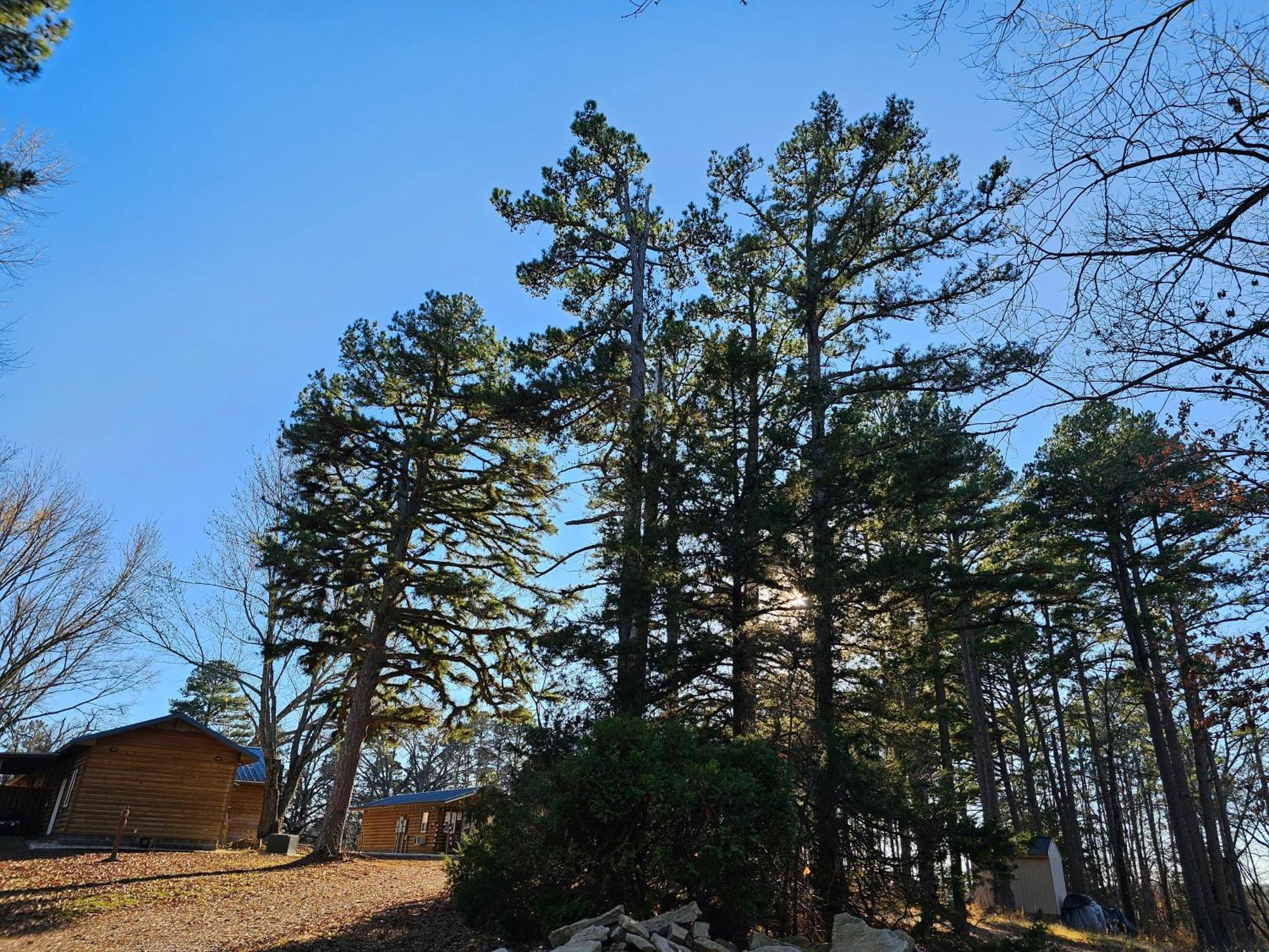 5 Min To Beaver Lake-King Bed-Fire Pit-Jetted Tub #3 Eureka Springs Exterior foto